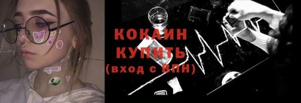стаф Бородино