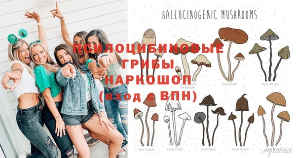 спайс Верея