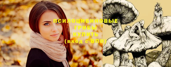 прущая мука Верхний Тагил