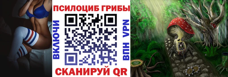 Псилоцибиновые грибы мицелий  что такое   Мостовской 